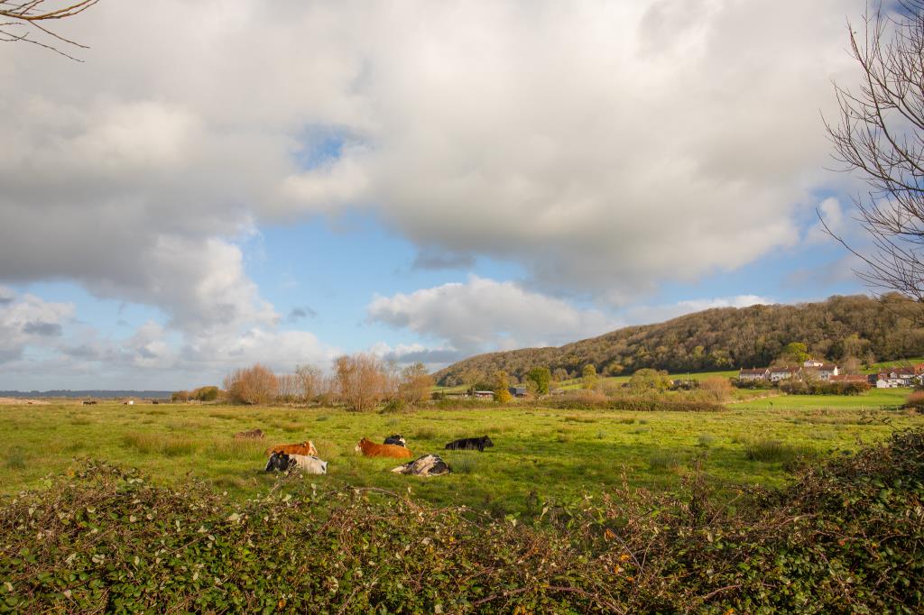 Lot: 32 - SEMI-DETACHED COTTAGE WITH RURAL OUTLOOK - View from the Front of the Property